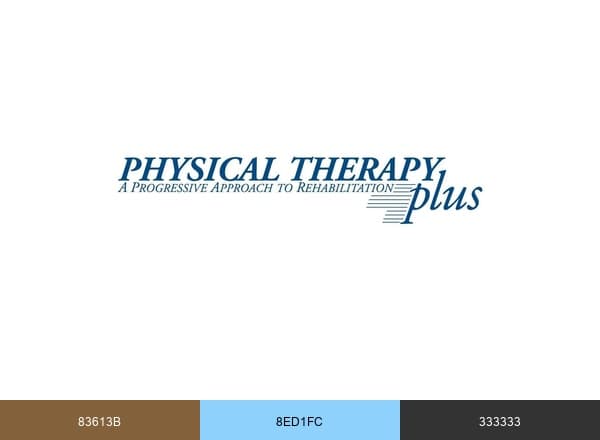 Physical Therapy Plus brand color palette