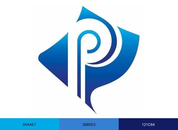 PublicPolicyPolling brand color palette