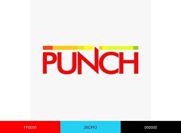 Punch Newspapers brand color palette