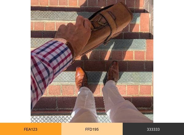 Pure Polish Products brand color palette