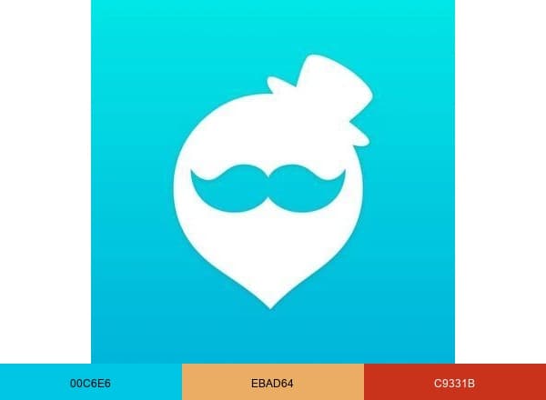 QooApp brand color palette