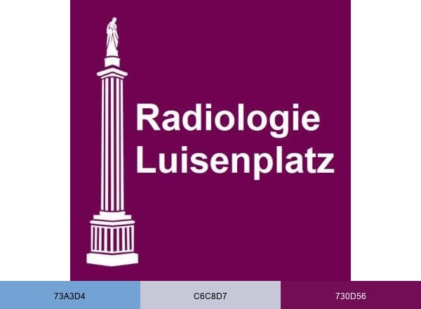 Radiologie am Luisenplatz brand color palette