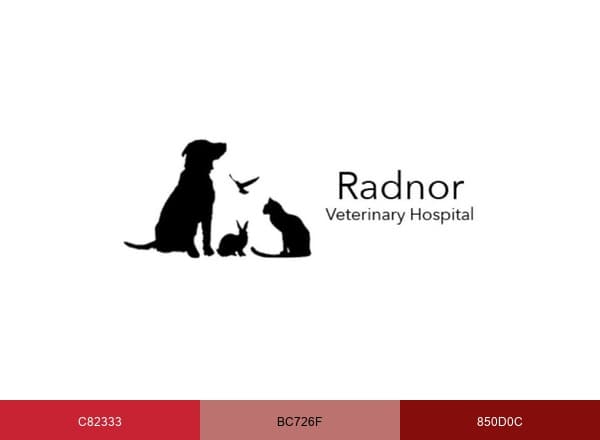 Radnor Veterinary Hospital brand color palette