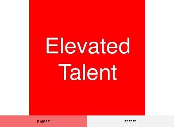 Elevated Talent brand color palette