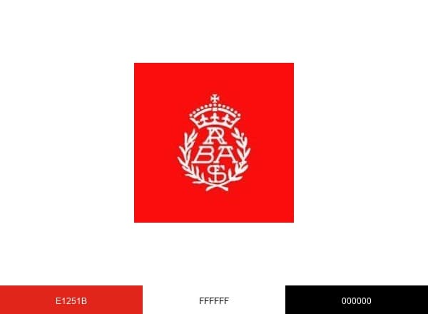 Academia S. Fernando brand color palette
