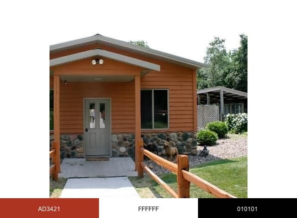 Red Star Kennel brand color palette