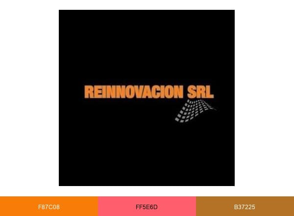 REINNOVACION SRL brand color palette