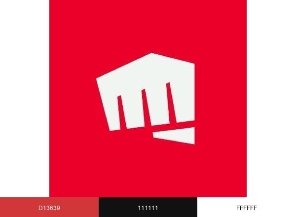 Riot Games brand color palette