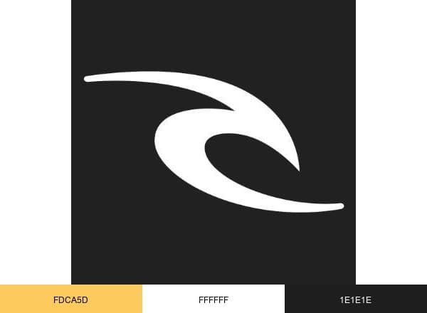 Rip Curl brand color palette