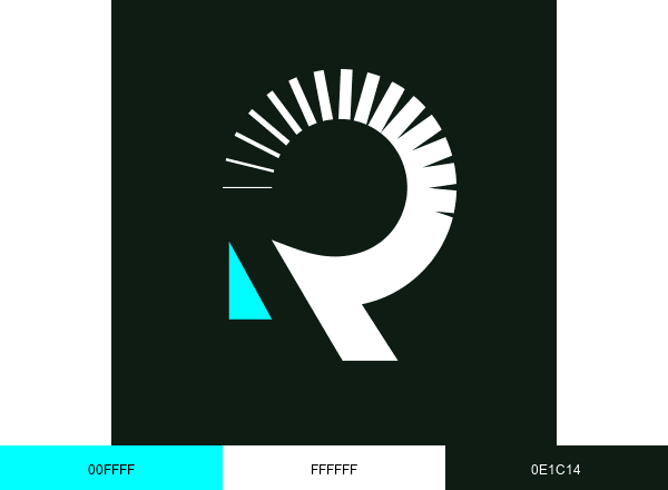 RoadRunner brand color palette