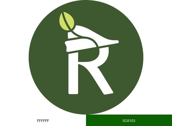 Robin di bwès brand color palette