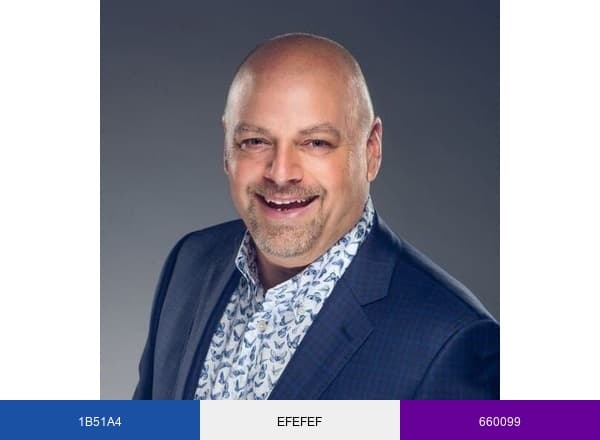 OH Roediger Chiropractic brand color palette