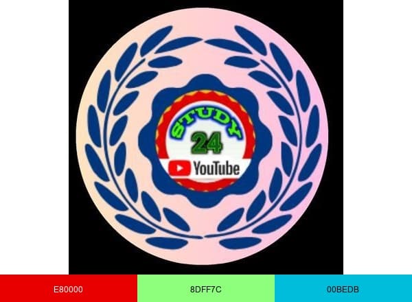 Study 24 brand color palette