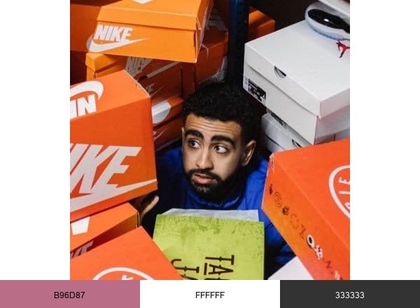 Reda brand color palette
