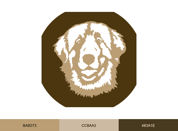 Roosevelt Vet brand color palette
