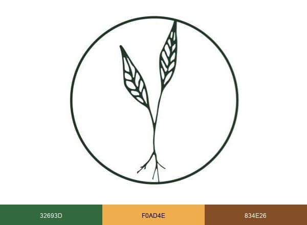 Root Functional Medicine brand color palette