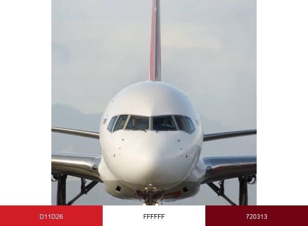 Royal Flight brand color palette