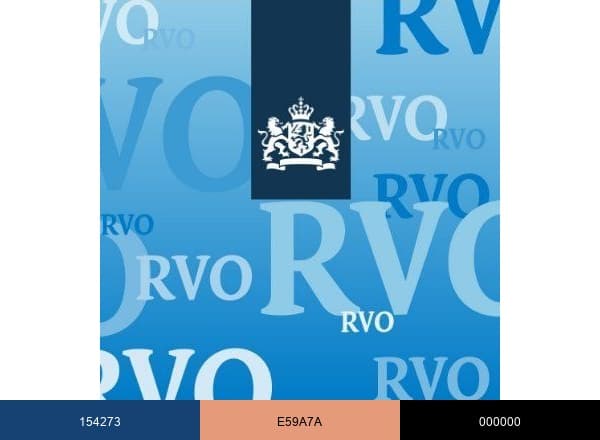 Rijksdienst voor Ondernemend Nederland brand color palette