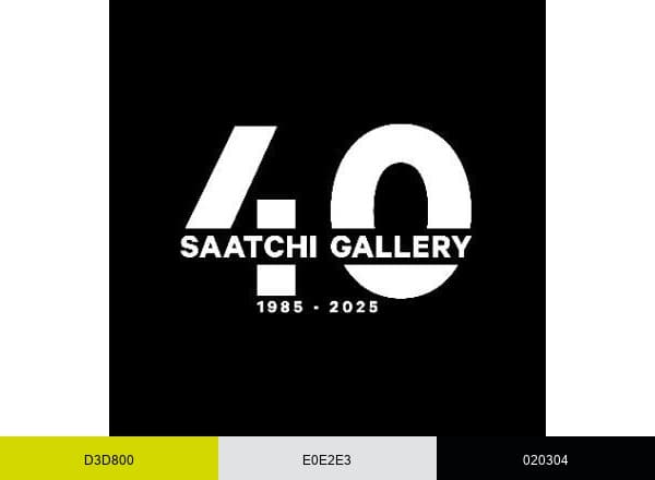 Saatchi Gallery brand color palette