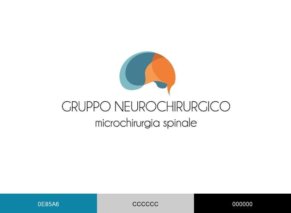 Gruppo Neurochirurgico brand color palette