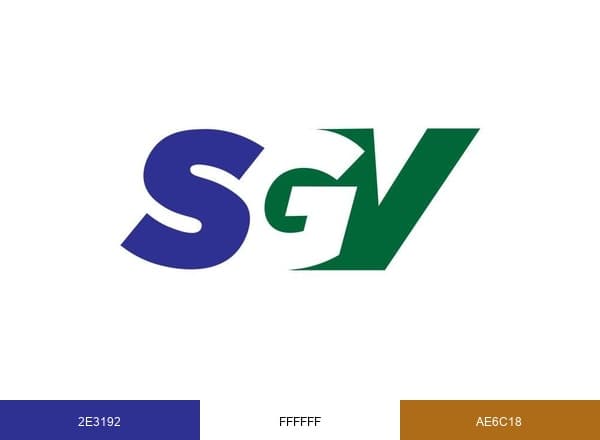 Safe Global Ventures Pvt. ltd brand color palette