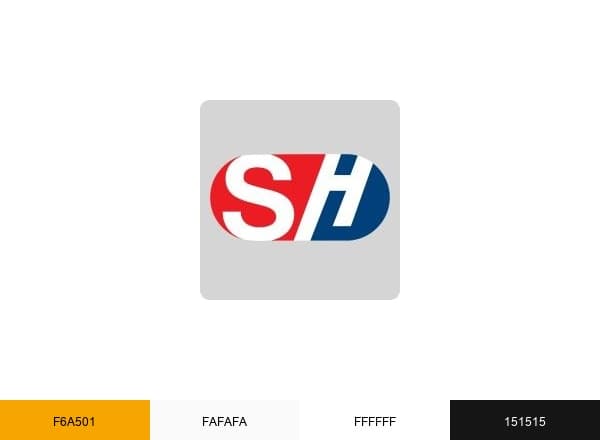 SAF-HOLLAND brand color palette
