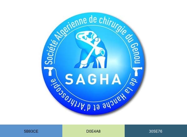 SAGHA-DZ brand color palette