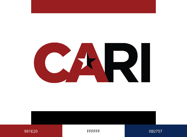 SAIS-CARI brand color palette