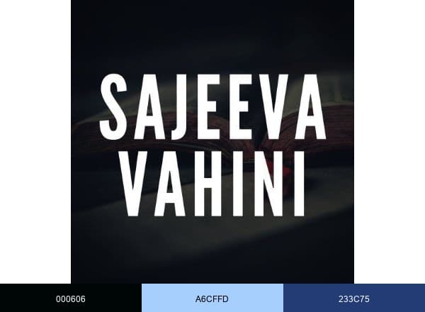 Sajeeva Vahini brand color palette