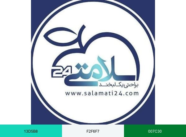 سلامتی24 brand color palette