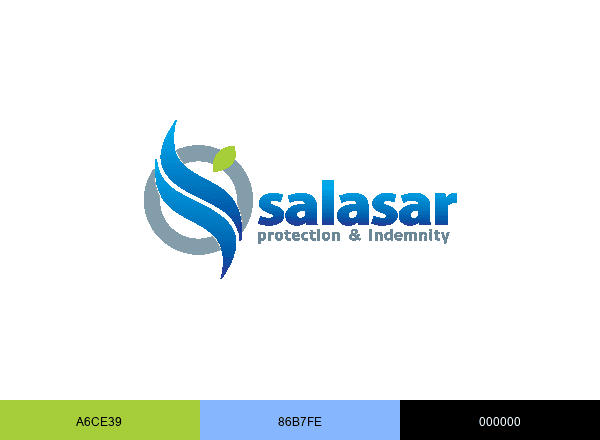 Salasar Services brand color palette