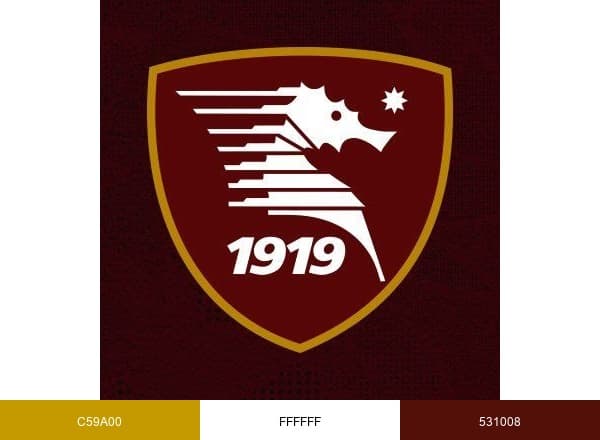 US Salernitana 1919 brand color palette