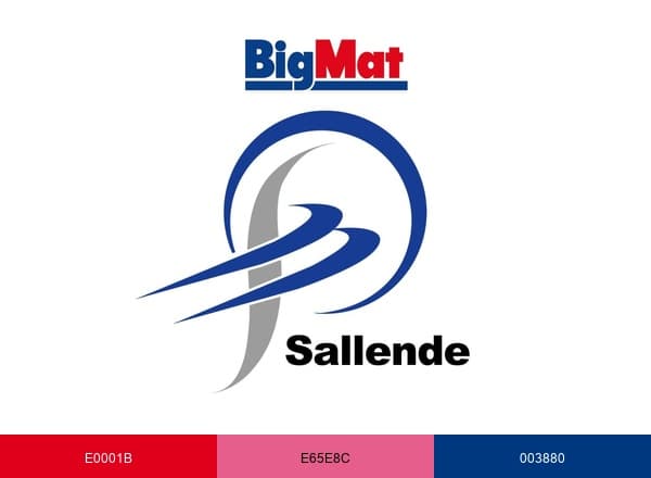 Sallende brand color palette