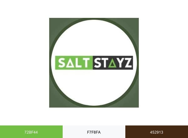 Saltstayz brand color palette