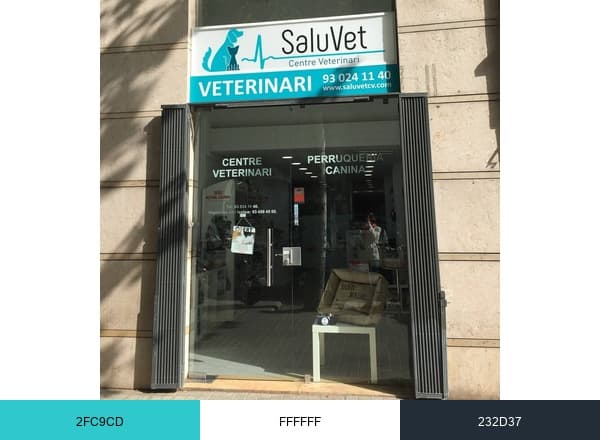 SaluVet Centre Veterinari brand color palette