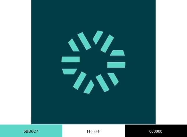 Salzburg Global brand color palette