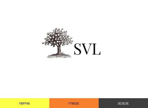 Sammy's Visionary brand color palette