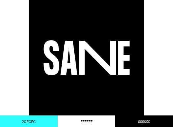 SANE brand color palette