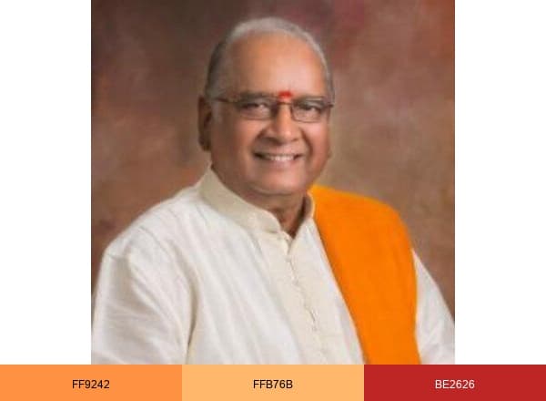 Shreeguru Dr Balaji Tambe brand color palette