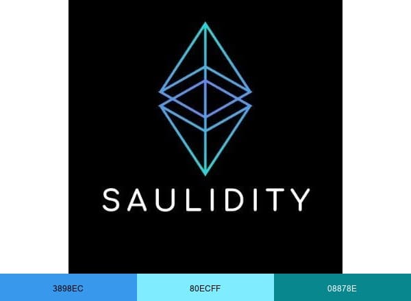 Saulidity Audit brand color palette