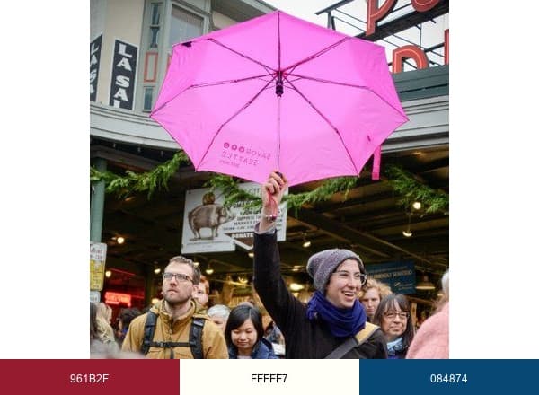 Savor Seattle brand color palette