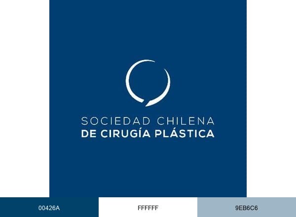 Sociedad Chilena de Cirugía Plástica brand color palette