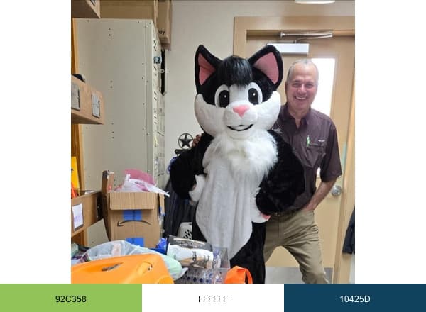 TX Schertz Animal Hospital brand color palette