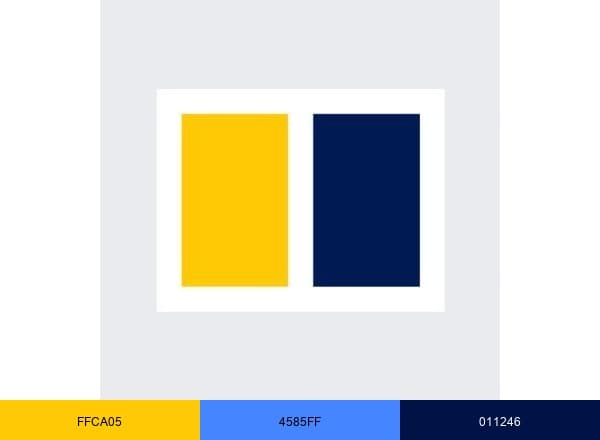 South China Morning Post brand color palette