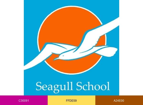 Seagull Schools brand color palette
