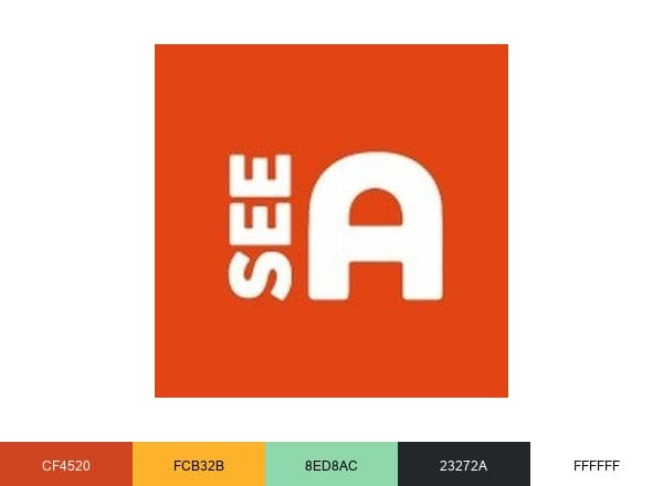 SeeAbility brand color palette