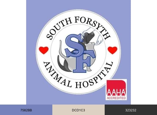South Forsyth AH brand color palette
