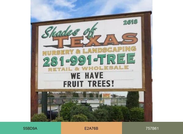 Shades of Texas brand color palette