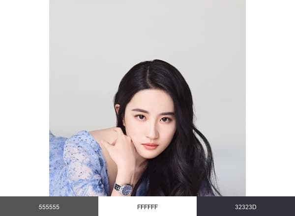 Shiza Spa brand color palette