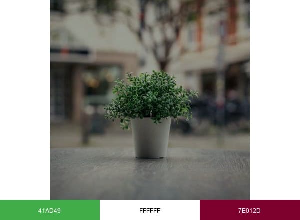 ShunCy brand color palette
